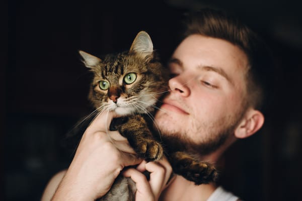 What Animals Taught Me About Queer Life and Hope